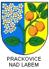 Prackovice nad Labem (obec)