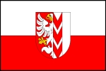 Opava (msto)