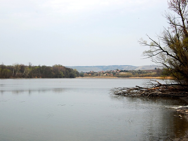 foto Pouzdansk rybnk (rybnk)