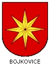 Bojkovice (msto)