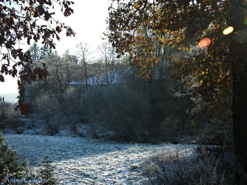 foto Buzice (tvrz)