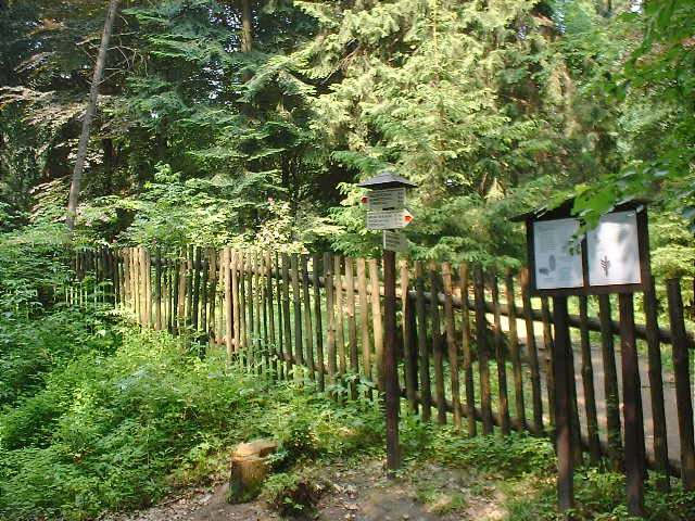 foto Arboretum Hrub Skla (botanick zahrada)